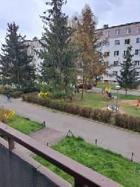 Poznań, Grunwald, Międzyborska - Zdjęcie 3
