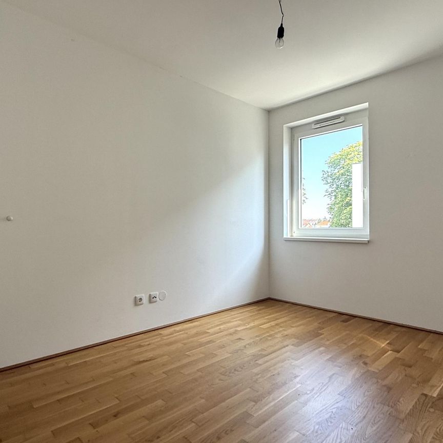 Großzügige 4-Zimmer-Neubauwohnung mit SÜD-Loggia nahe Akademiepark - Photo 1