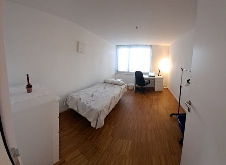 3.5 Zimmer, 85 m² - Photo 3
