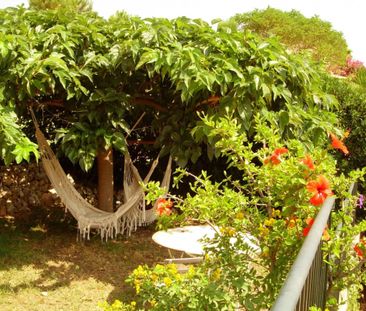 location de vacances: 2 pièces, coin cuisine équipée, terrasse, jar... - Photo 4