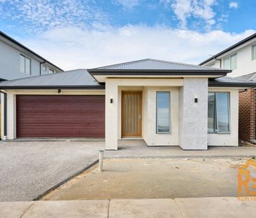 Brand New Modern Living at 11 Red Fruit Street, Clyde North! - Photo 6