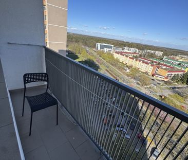 Poznań, Tysiąclecia - Zdjęcie 1