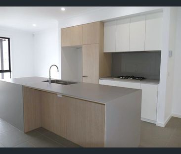 11 Featherwood Street, Clayton South, Vic 3169 - Photo 4