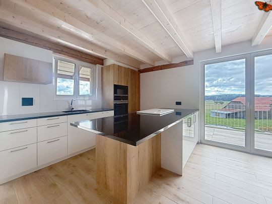 2½ pièces - Duplex de charme - Foto 1