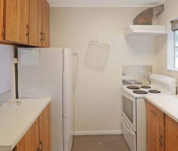Cosy 2-Bedroom in Mt Victoria - Photo 3