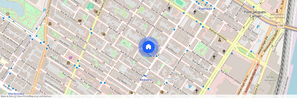 1601 Rue Panet, Ville-Marie (Montréal), H2L2Z4