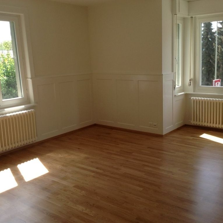 Charmante Wohnung mit grosszügigem Grundriss - Photo 1