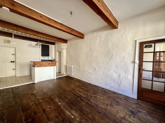 Location Appartement 2 pièces 50m² CHAMBERY 73000 - Photo 1