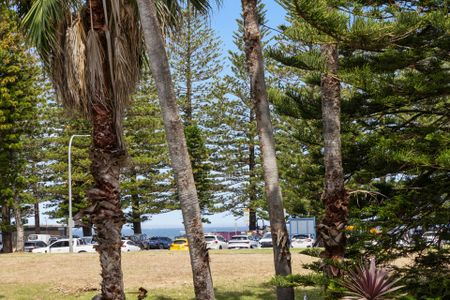 Freshly Updated Apartment in Mona Vale Basin - Photo 4