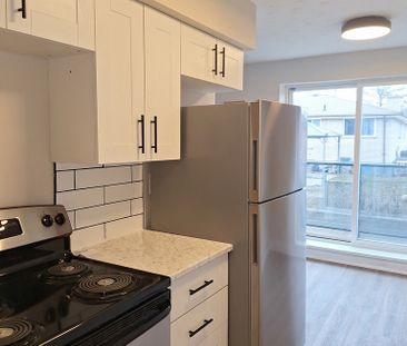 Deluxe Two Bedroom Apartment - Photo 3