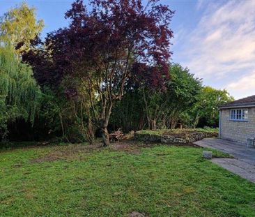 3 bedroom house to rent - Photo 3