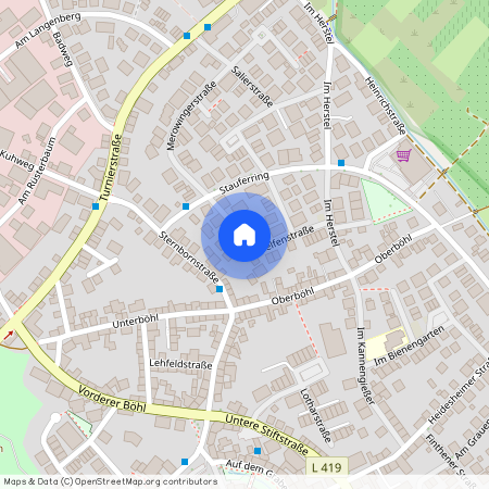 Welfenstraße 25, 55218 Ingelheim am Rhein