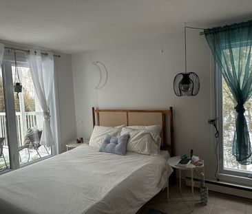 Rue du Mont-Plaisant, J8E 1L2, Mont-Tremblant - Photo 3