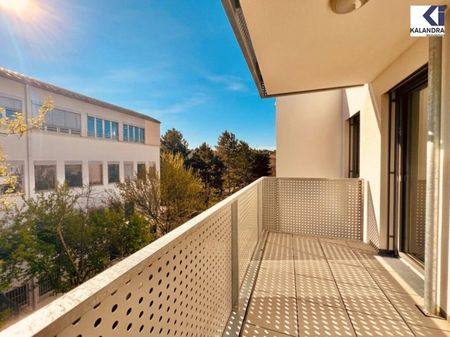360° TOUR// NEUBAU-MIETWOHNUNG nahe SONNBERGMARKT - Foto 5