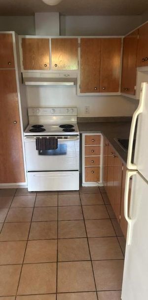 1 CH - 1 SDB - Côte Saint-Luc - $1,645 /mo - Photo 1