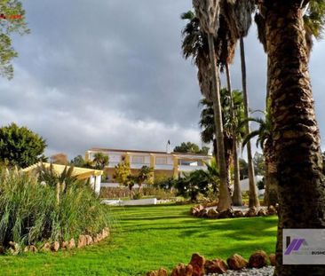 6 room luxury House for rent in Palma de Mallorca, Spain - Photo 3