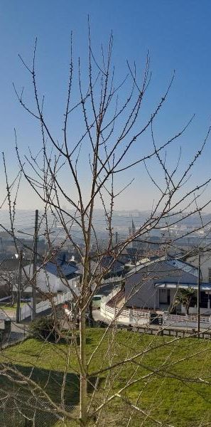 Location Appartement 3 pièces 54m² DIEPPE 76370 - Photo 1