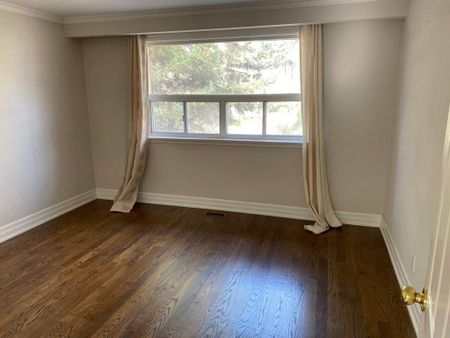 For Lease - 139 Horsham Avenue Unit# Main, Toronto, Ontario - Photo 3