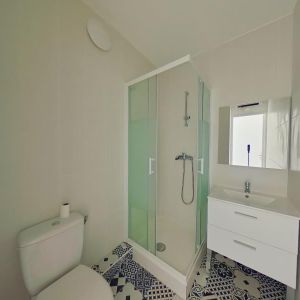 Location Appartement 1 pièce 18m² LYON 7ème - Photo 3