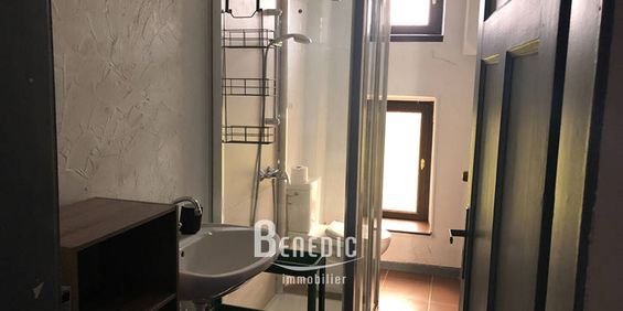 Appartement T2 - Quartier de la Blies - Photo 3