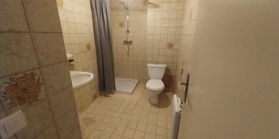 Location appartement 1 pièce à Sallanches (74700) - Photo 3