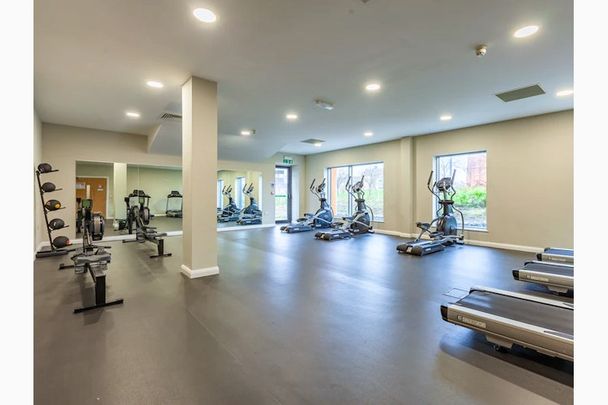 Premier Studio W/ Accessible Bathroom - Photo 1