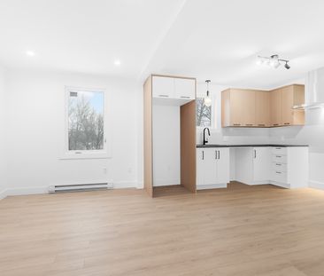 2995 St-Léandre - Photo 1