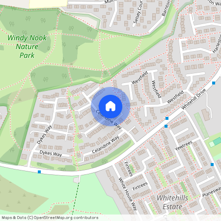 Celandine Way, Windy Nook, NE10