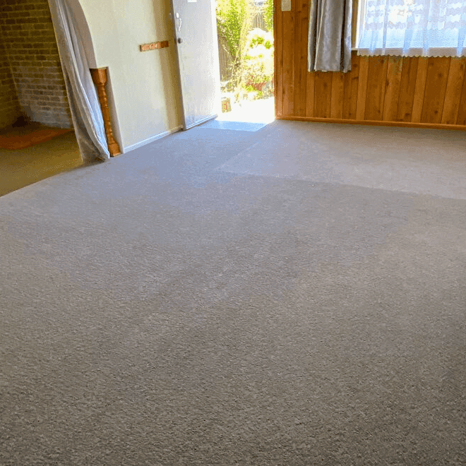 39 Anglesea Street - Photo 1