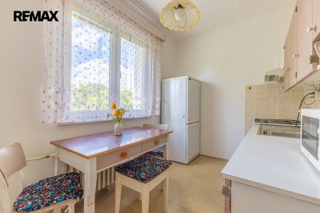 Pronájem bytu 2+1 v družstevním vlastnictví 53 m², Praha 6 - Břevnov - Photo 4
