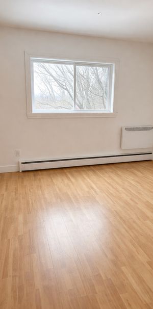 41/2 Central - Photo 1