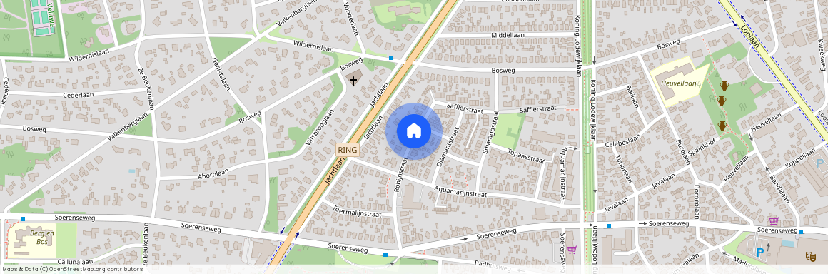 Sprengenbos, 7314 JA, Robijnstraat, Apeldoorn