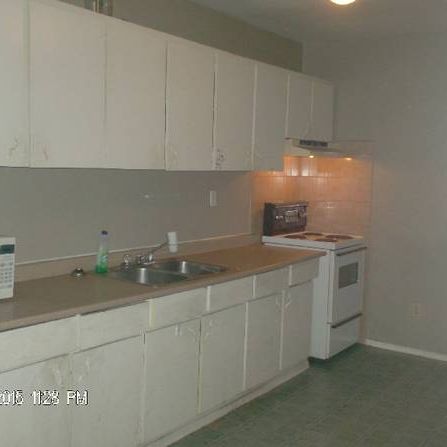 Nice Spacious 3 bedroom on Dundas Street West - Photo 3