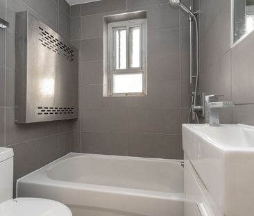 54 Maitland Street - Photo 6