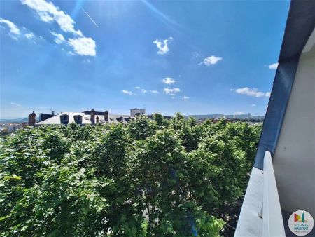 Location appartement 3 pièces - 84m² à Clermont-ferrand (63000) - Photo 3