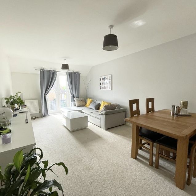 14 Nile Road - Photo 1