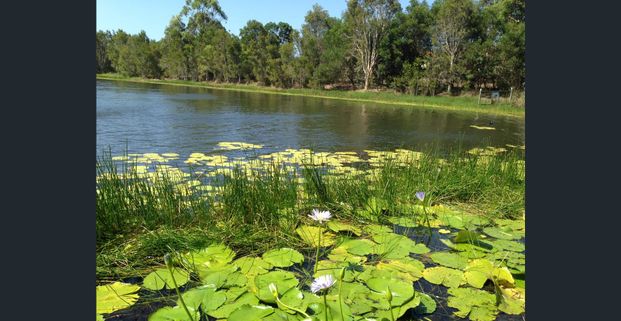 Address available on request, Mango Hill, Qld 4509 - Photo 1