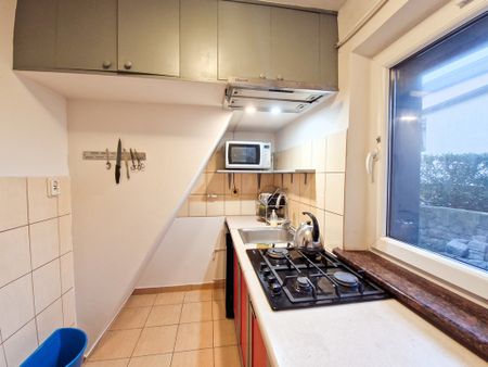 Do wynajęcia - niewielki dom z garażem i ogrodem - Zdjęcie 5