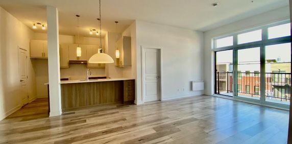 Longueuil 4 1/2 spacieux 1051 pi ca - Photo 2