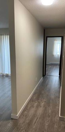 Central Mount Pleasant 1 Bdrm Apt with Storage - Photo 1