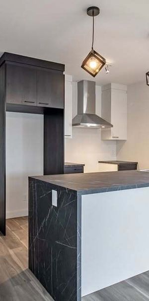 Magnifiques 4 1/2 Disponibles - Photo 1