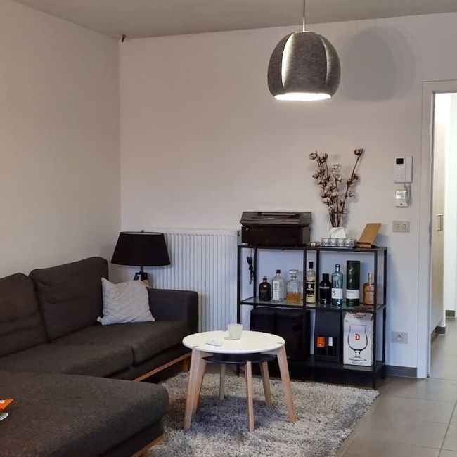 Appartement te huur in Zulte voor € 655 met 1 slaapkamer - Foto 1
