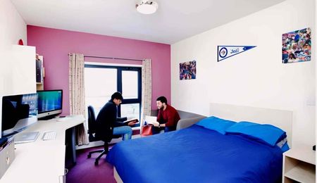 Large High Double Studio - Photo 3