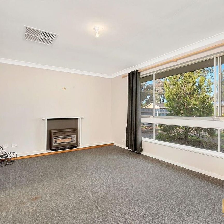 !! Big and Comfortable House in Salisbury North !! - Photo 1