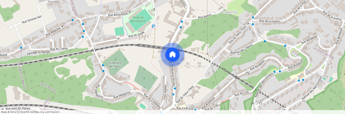 Rue Ferdinand Nicolay 551, 4420 Tilleur