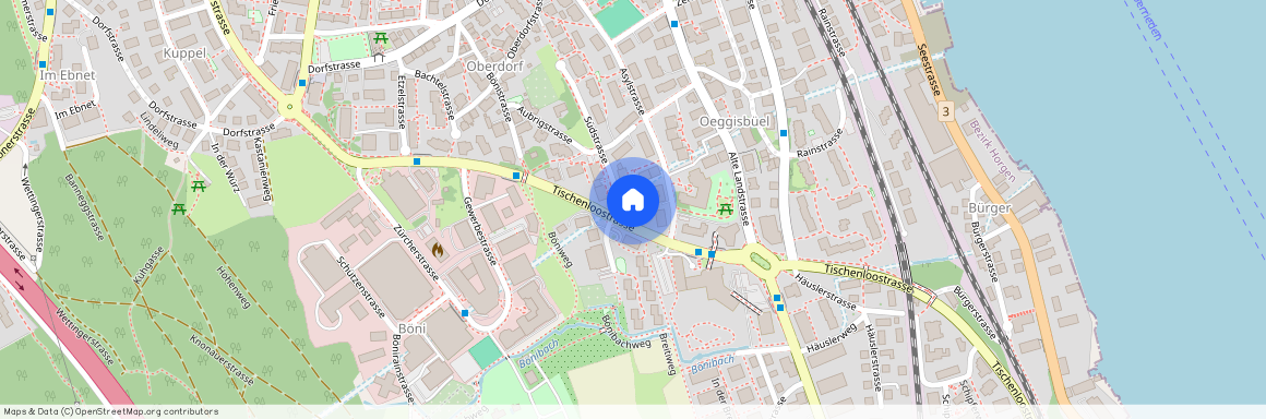 8800, Thalwil, Tischenloostrasse, 50