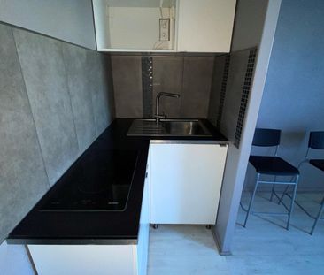 Location Appartement 1 pièce 16m² TOULOUSE 31300 - Photo 1