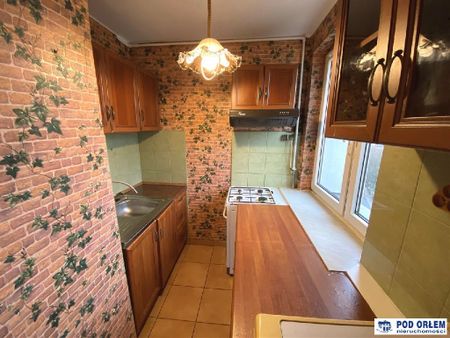 Mieszkanie śląskie Cieszyn powierzchnia 42.98 m² C395-WM-44956 - Zdjęcie 5