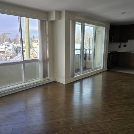 TRIO - 1 Bedroom & 1 Bath with LARGE Patio!! - Photo 3