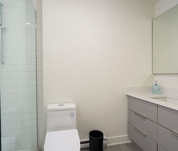 650 rue Wellington, Montréal, QC - Photo 5